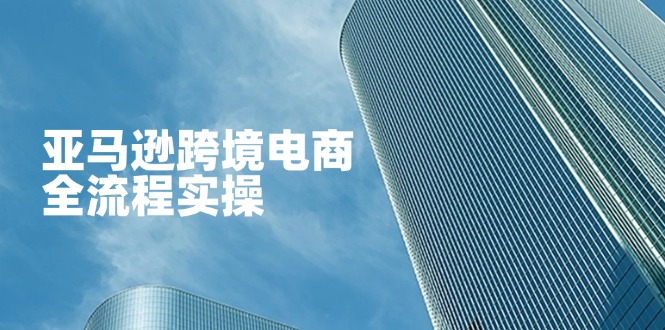 （14252期）亚马逊跨境电商全流程实操，教你从零开始，掌握店铺运营与广告技巧-华科轻创